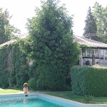 Hotel Casa Da Quinta De S. Martinho Vila Real Esterno foto